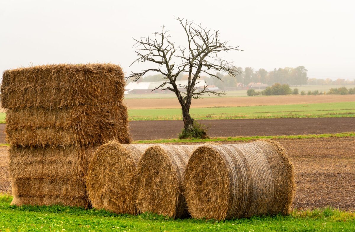 météo agricole orléans erreurs fréquentes éviter
