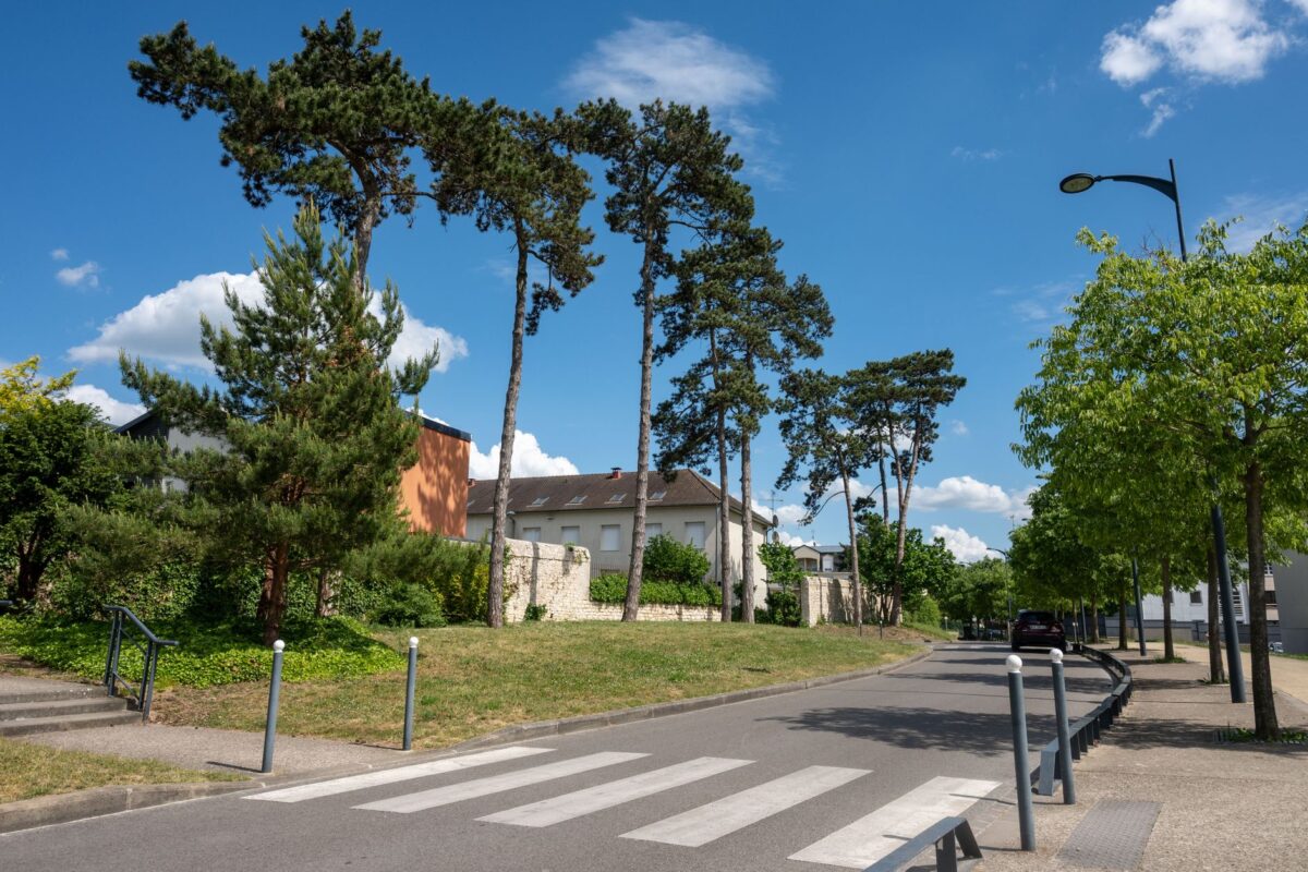 cardiologue orléans rue alsace